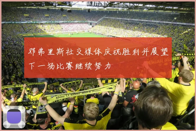 邓弗里斯社交媒体庆祝胜利并展望下一场比赛继续努力